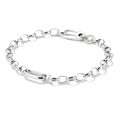 Charm bracelet with Connect link Silver