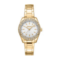 DKNY Evening Gold 30mm Silver Dial Womens Watch