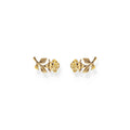 Ear studs Roses Romance | The Jewellery Boutique