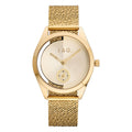 Harrow Gold Stainless Steel 36mm Watch