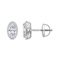 1.60ct Elongated Oval Lab Grown Diamond Halo Earrings in 18K White Gold