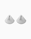 Drift Large Shell Stud Earrings | Zoe Olivia Jewellery Australia