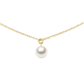Daniel Wellington Pearl Necklace Gold | The Jewellery Boutique