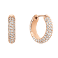 Pave Earrings RG