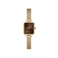 Daniel Wellington Quadro Mini Evergold Amber Watch