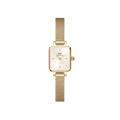 Daniel Wellington Quadro Mini Evergold Champagne Watch