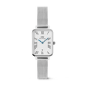 Daniel Wellington Quadro Sterling Roman Numerals Date