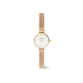 Daniel Wellington Petite Mini Evergold Watch