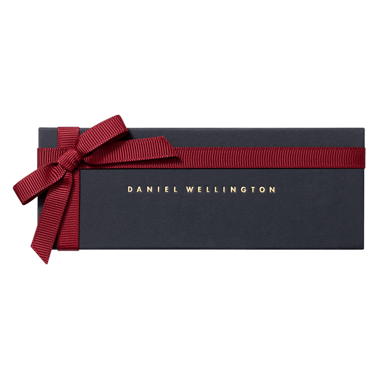 Daniel Wellington Classic 20 York Silver Watch Band