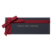 Daniel Wellington Classic 20 Reading Silver Watch Band