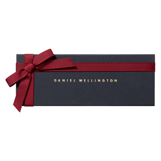 Daniel Wellington Classic 20 Canterbury Silver Watch Band