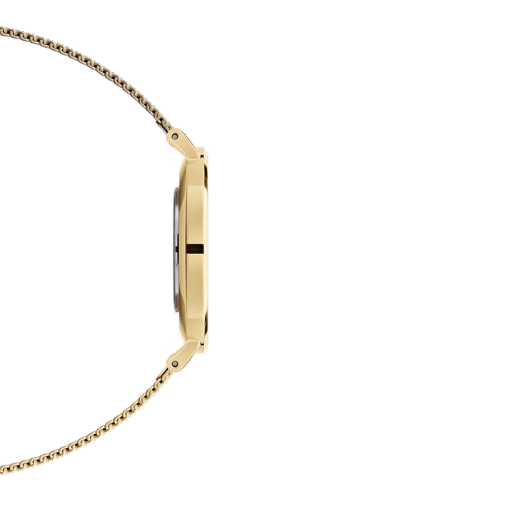 Petite 28 Evergold Gold White Watch