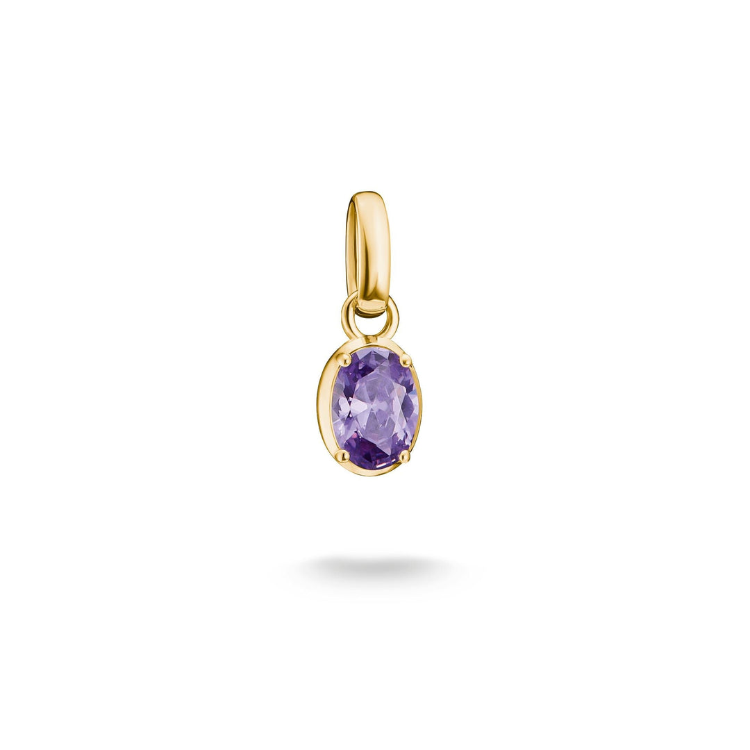 THOMAS SABO Gold-Plated February Birthstone Charm