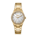 Evening Gold Stainless Steel 30mm Watch