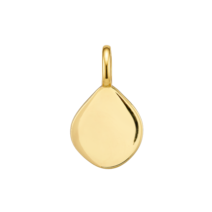 Charmed 14k Gold Vermeil Cubic Zirconia Plain Disk Charm