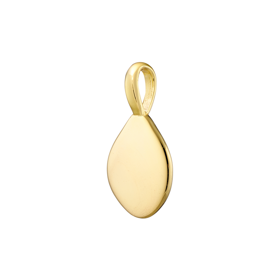Charmed 14k Gold Vermeil Cubic Zirconia Plain Disk Charm