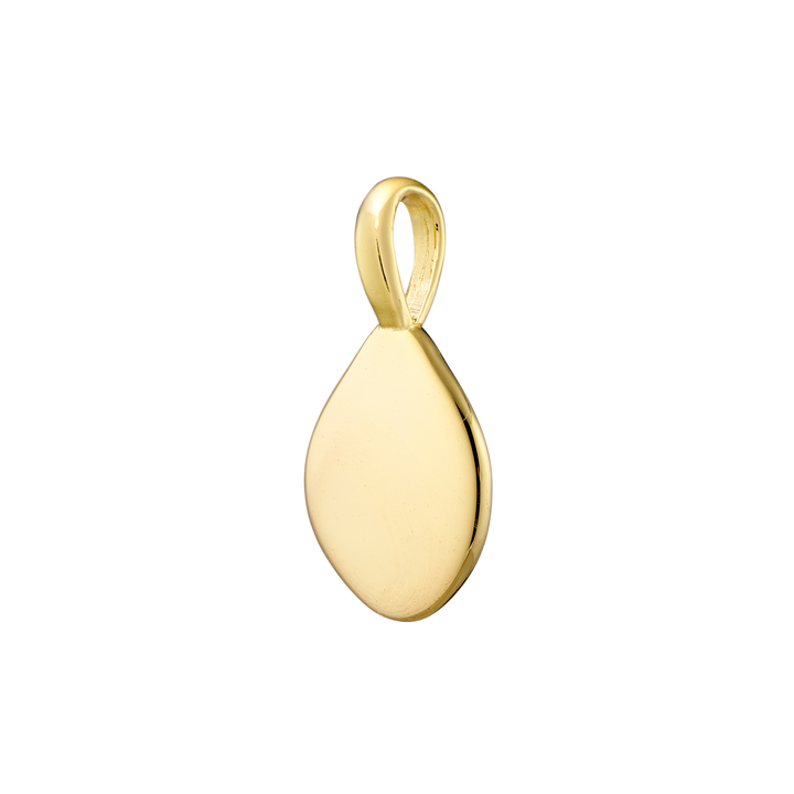 Charmed 14k Gold Vermeil Cubic Zirconia Plain Disk Charm