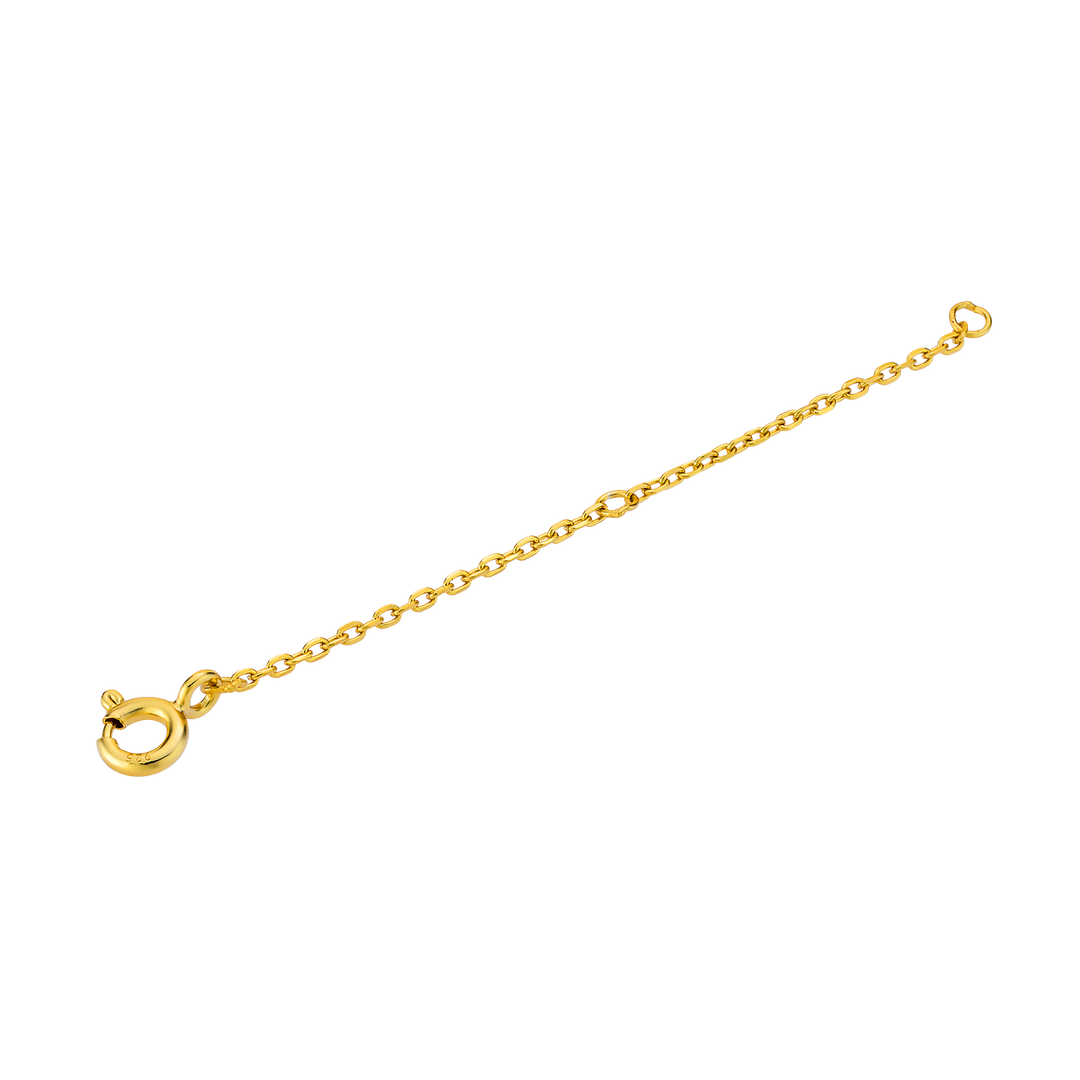 Icon 14k Gold Vermeil Extender Chain 5cm