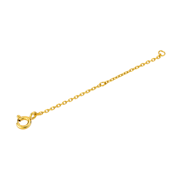 Icon 14k Gold Vermeil Extender Chain 5cm