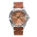 Windsor Brown Stainless Steel 44mm Watch