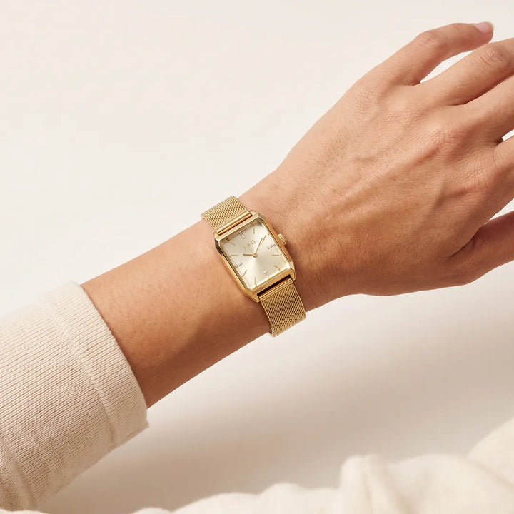 Jag Sorrento womens 24mm gold dial gold watch with gold mesh strap worn on wrist