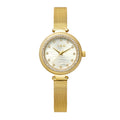 Maddy Womens Gold Dial 31mm Gold Watch