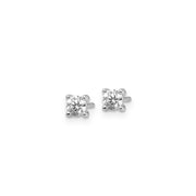 0.50ct Lab Grown Diamond Earrings in 9K White Gold | The Jewellery Boutique