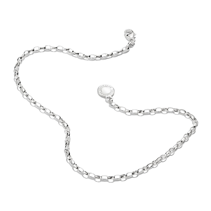 Charm anklet