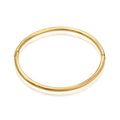 Essentials Classic Polished Bangle
