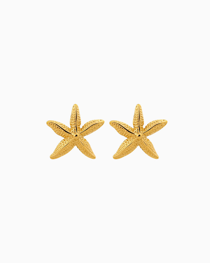 Solara Textured Starfish Stud Earrings | Zoe Olivia Jewellery Australia