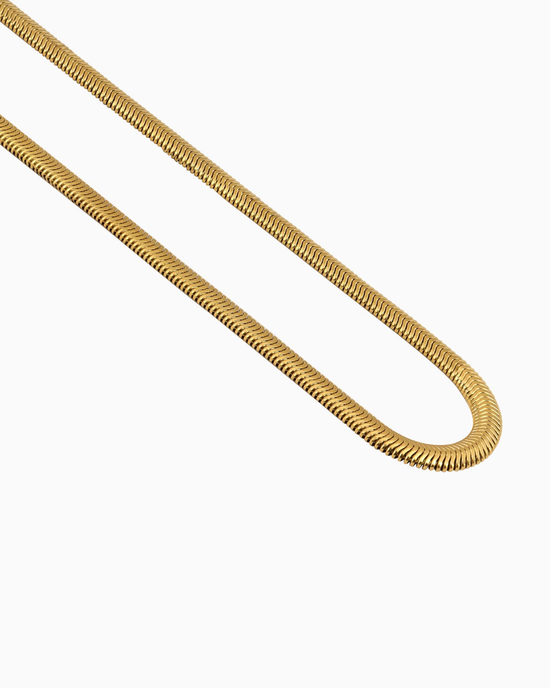Essentials Snake Chain Necklace | Zoe Olivia Jewellery Australia