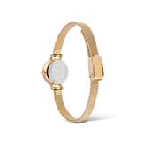 Daniel Wellington Petite Mini Evergold Watch