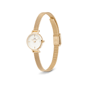 Daniel Wellington Petite Mini Evergold Watch