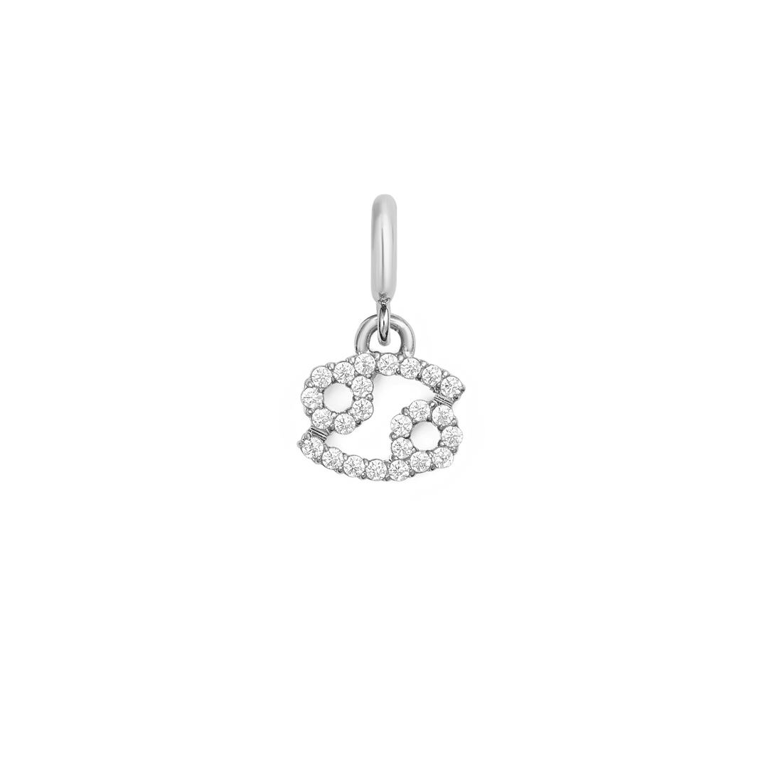 Zodiac Watch Charm Silver