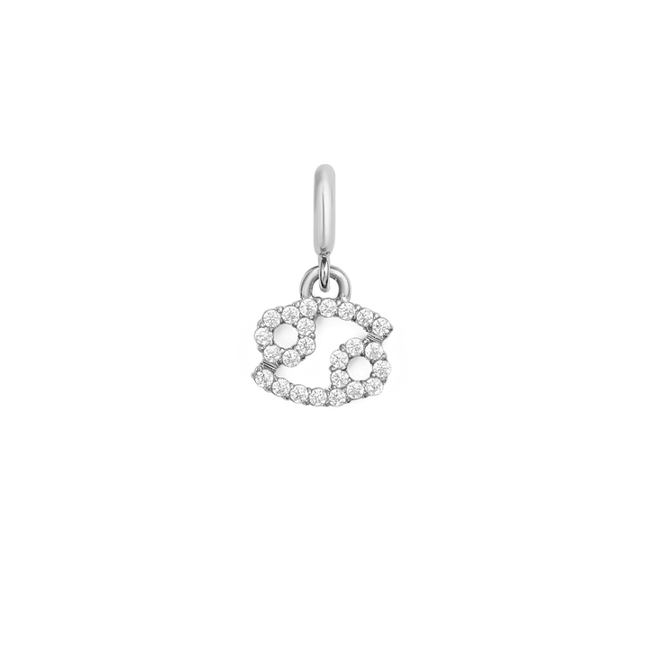 Zodiac Watch Charm Silver