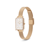 Daniel Wellington Quadro Crystal Zodiac Evergold Watch