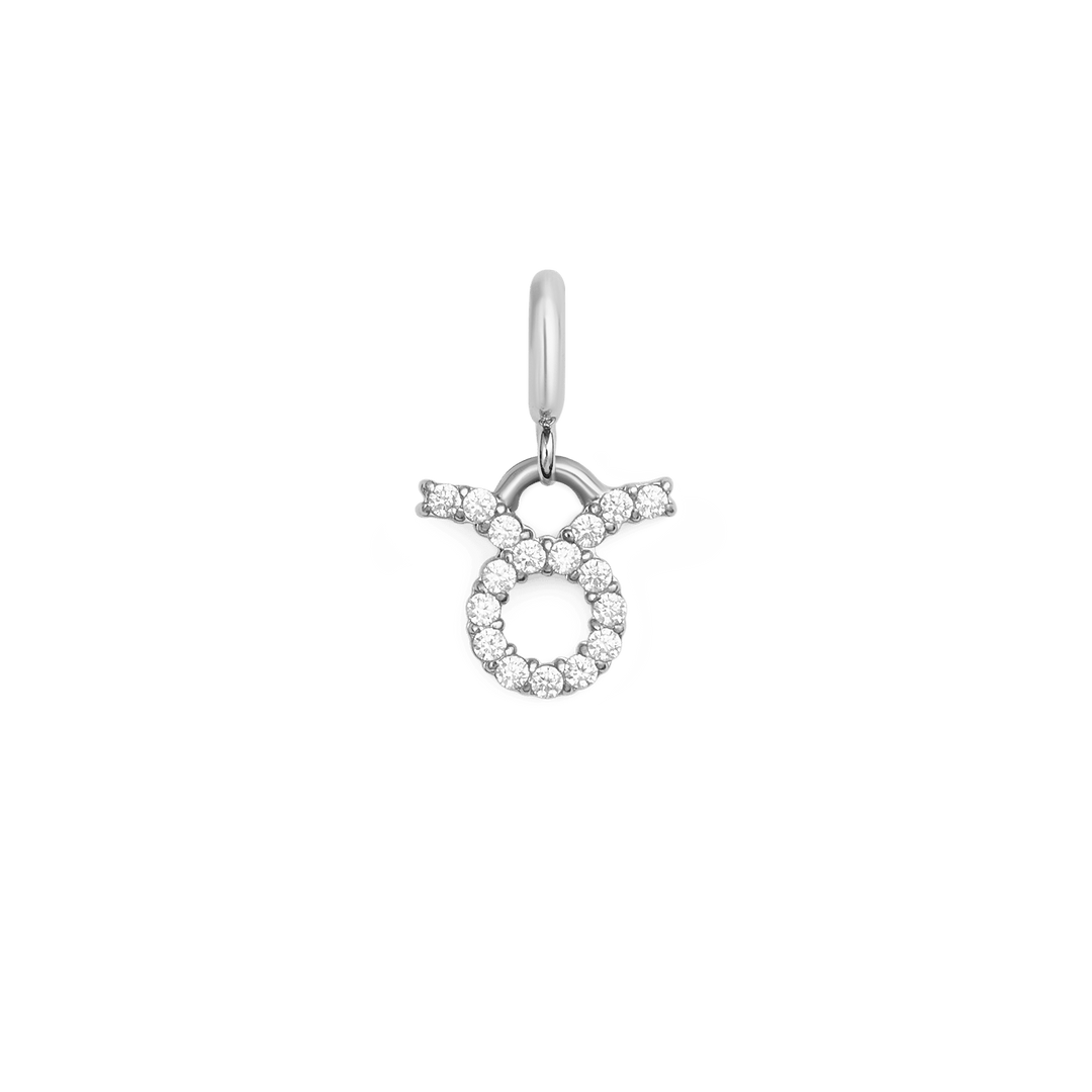 Zodiac Watch Charm Silver