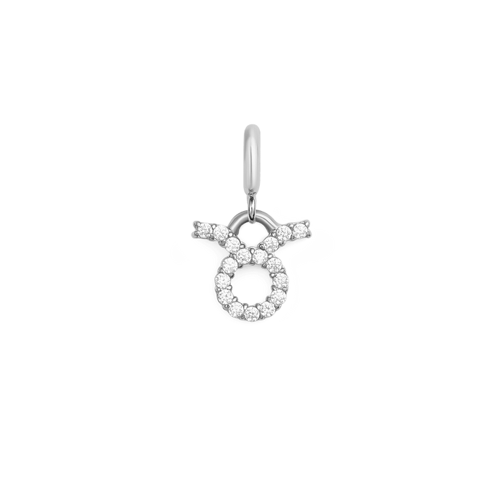 Zodiac Watch Charm Silver