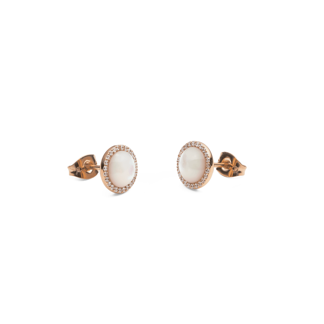 Daniel Wellington Audrey Earrings Mother of Pearl Rose Gold