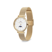 Daniel Wellington Petite Lune Evergold Watch