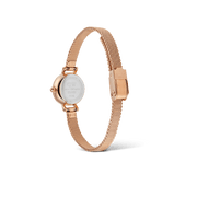 Daniel Wellington Petite Mini Blush Melrose Watch