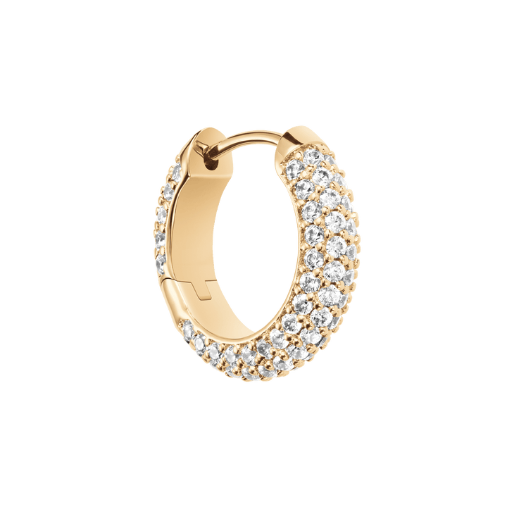 Pave Earrings G