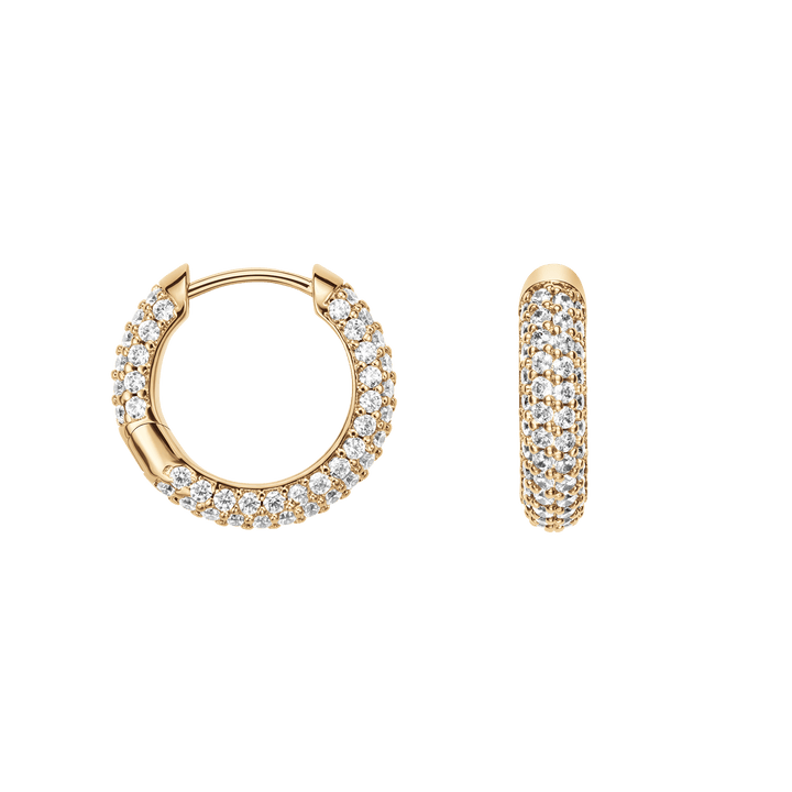 Pave Earrings G