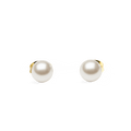 Daniel Wellington Pearl Stud Earring Gold | The Jewellery Boutique