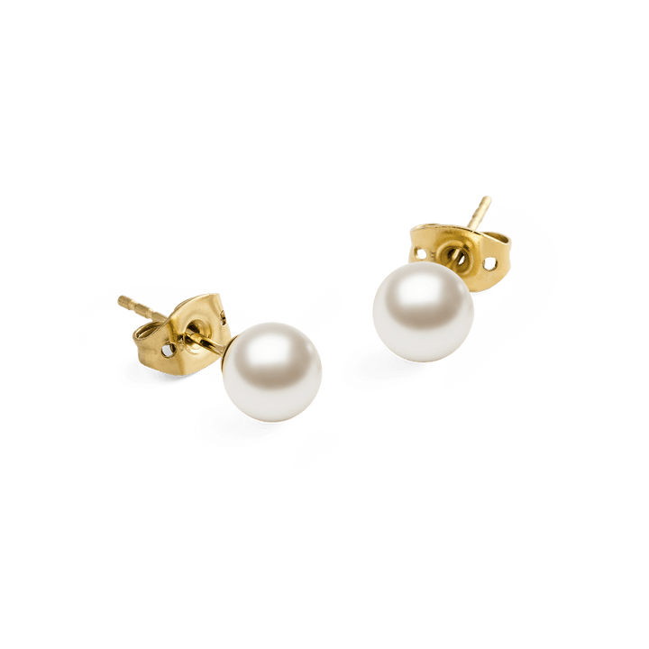Daniel Wellington Pearl Stud Earring Gold | The Jewellery Boutique