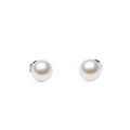 Daniel Wellington Pearl Stud Earring Silver | The Jewellery Boutique
