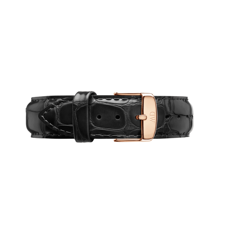 Daniel Wellington Classic 20 Reading Rose Gold Watch Band