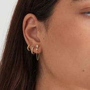 Gold Earrings 