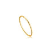 ania haie gold ring