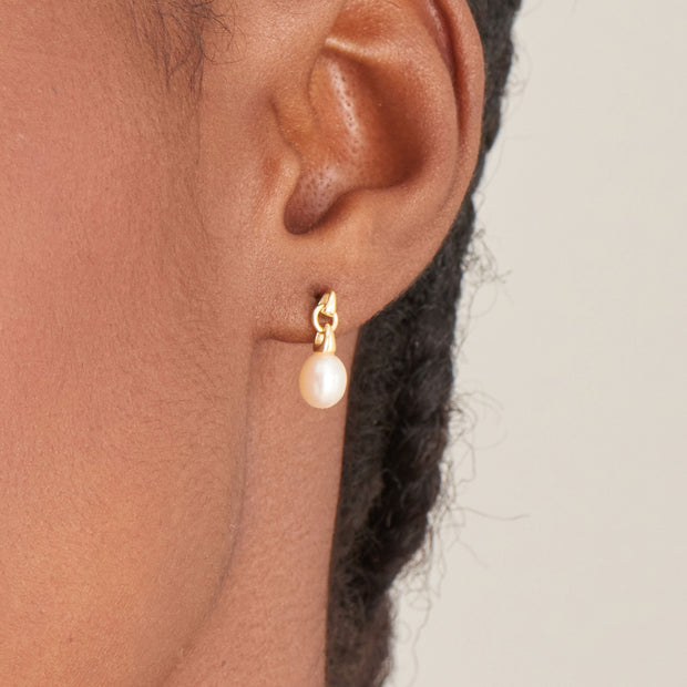 Ania Haie Gold Pearl Drop Stud Earrings | The Jewellery Boutique